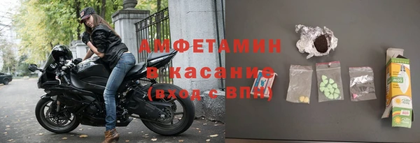 сатива Алзамай