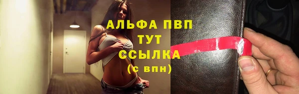 сатива Алзамай