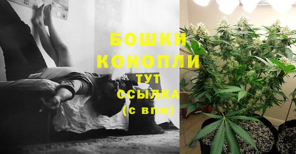 сатива Алзамай