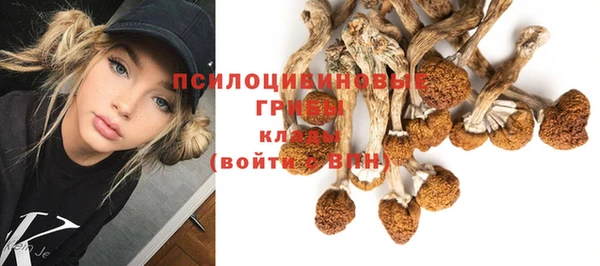 сатива Алзамай
