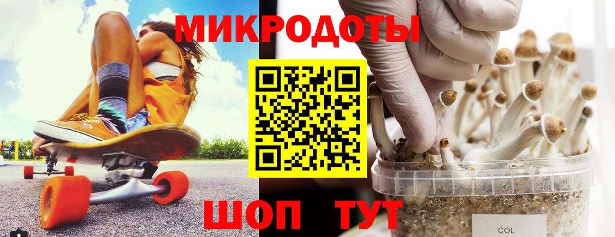 Железноводск  цены   Вход с VPN  Галлюциногенные грибы Psilocybine cubensis 
